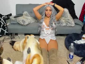 girl
        jazmynn_m cam image #337243