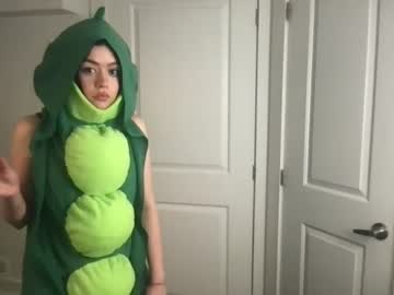 girl
        littlesugarpea cam image #2334853