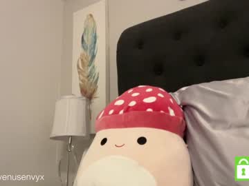 girl
        venusenvyx cam image #1609483