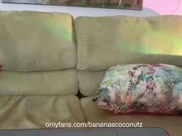 girl
        bananascoconutz cam image #1574209