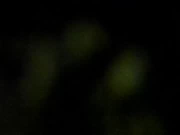 girl Milf & Teen Sex Cam Girls with lia_14_