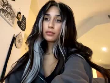 girl
        skyyefox cam image #2069608