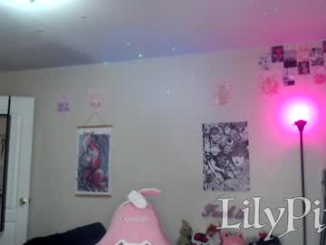 girl
        lilypixel cam image #235120