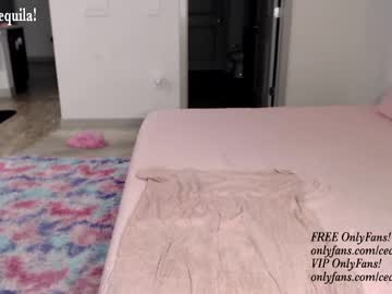 girl
        princess_cece cam image #2133393