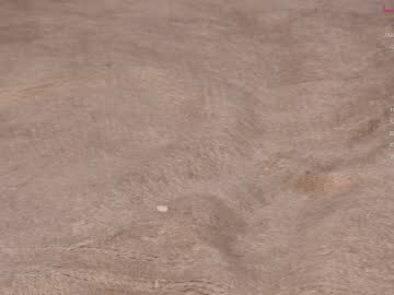 girl
        sapphirealice cam image #2087813